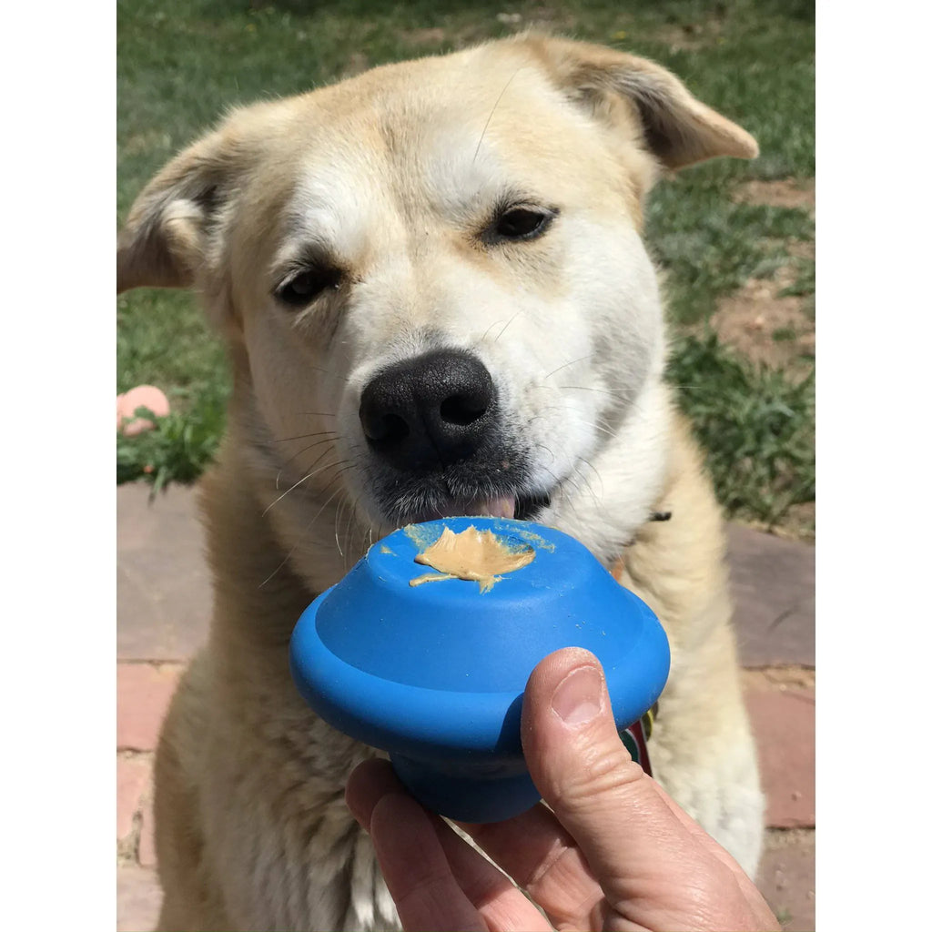 Flying Saucer Dog Chew Toy & Treat Dispenser | SodaPup