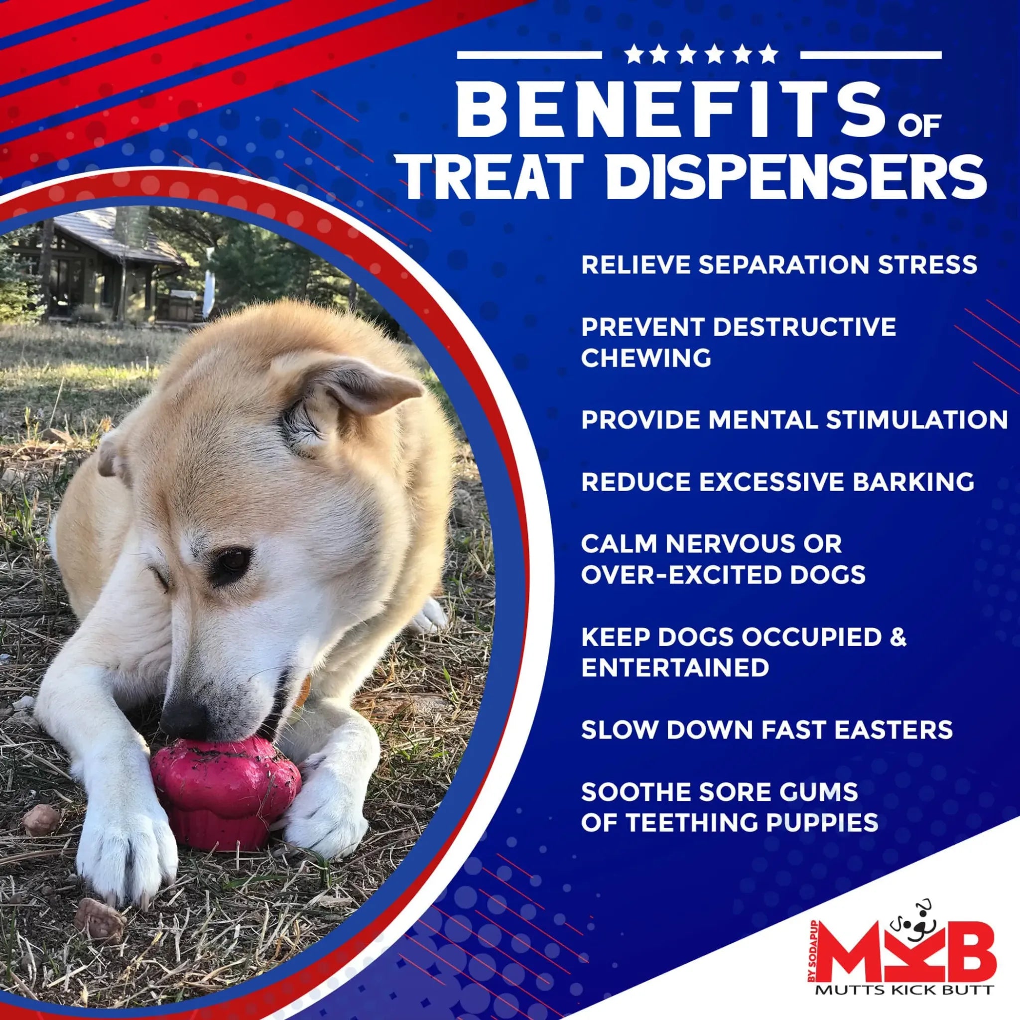 Cupcake eDispenser | Durable Natural Rubber Chew & Treat Toy | SodaPup