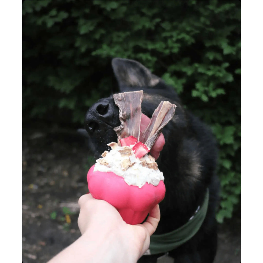 Cupcake eDispenser | Durable Natural Rubber Chew & Treat Toy | SodaPup