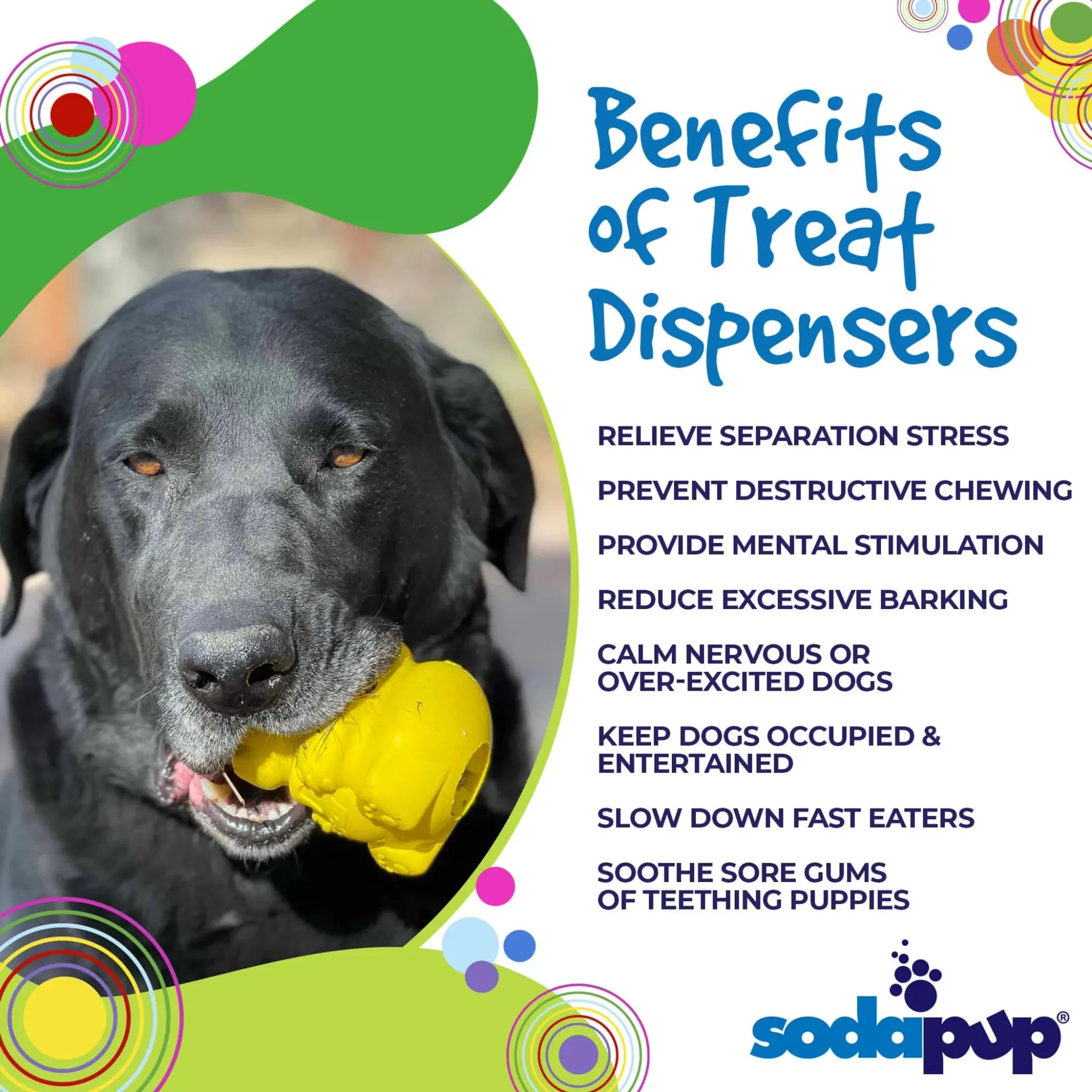 Honey Bear eDispenser Dog Chew Toy & Treat Dispenser | SodaPup