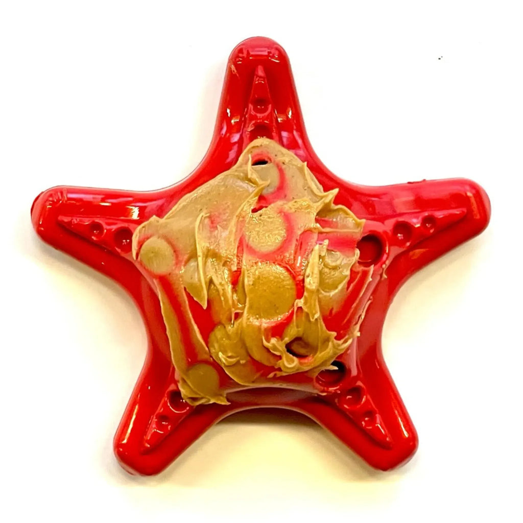 Starfish Ultra‑Durable Nylon Chew Toy | SodaPup