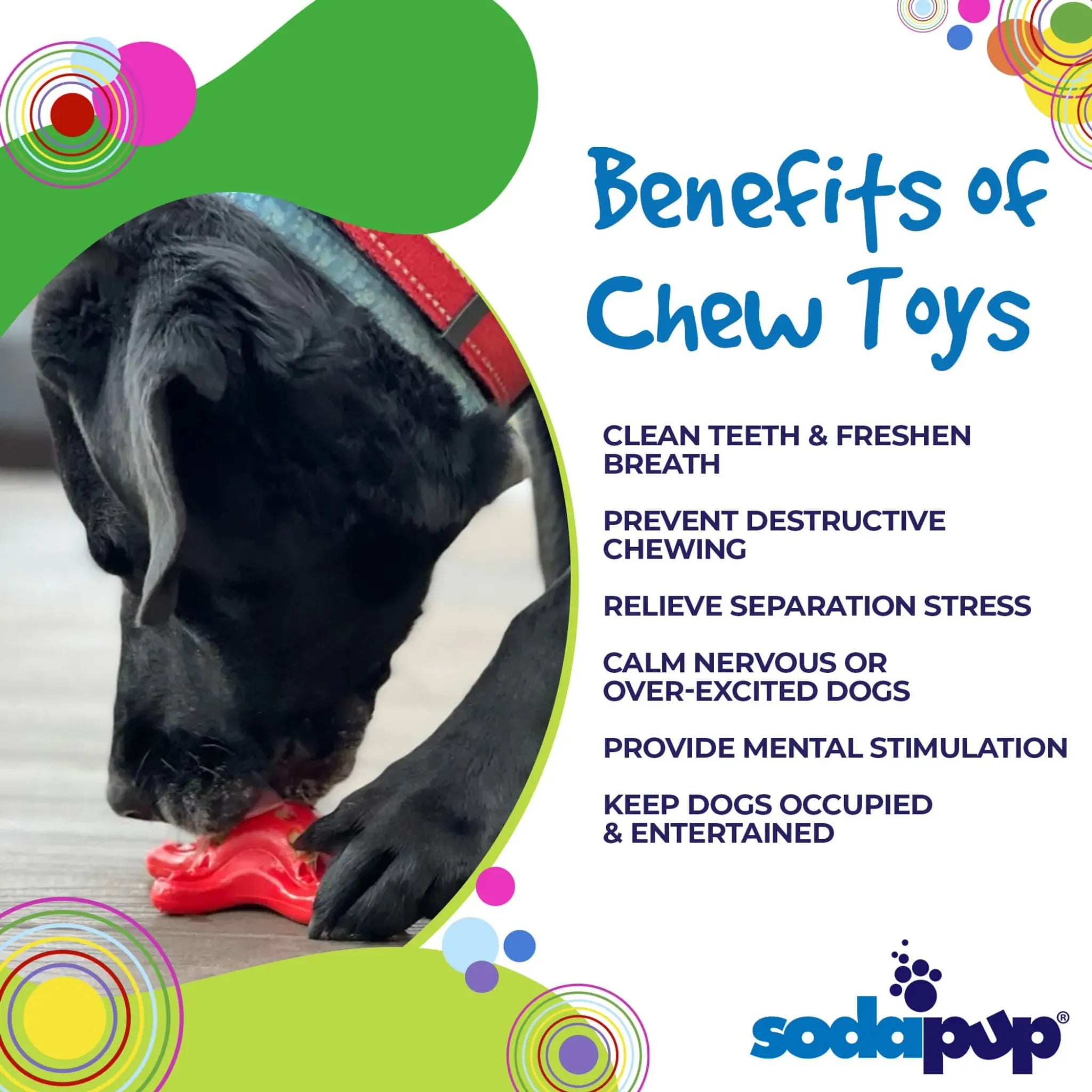 Starfish Ultra‑Durable Nylon Chew Toy | SodaPup