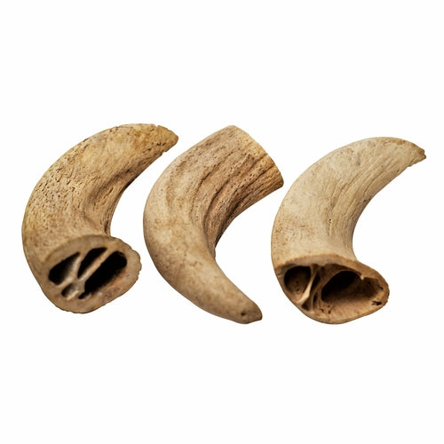 Water Buffalo Horn Core Chews – Crunchy Single‑Ingredient Treats (2 Count) | Rozie’s Naturals