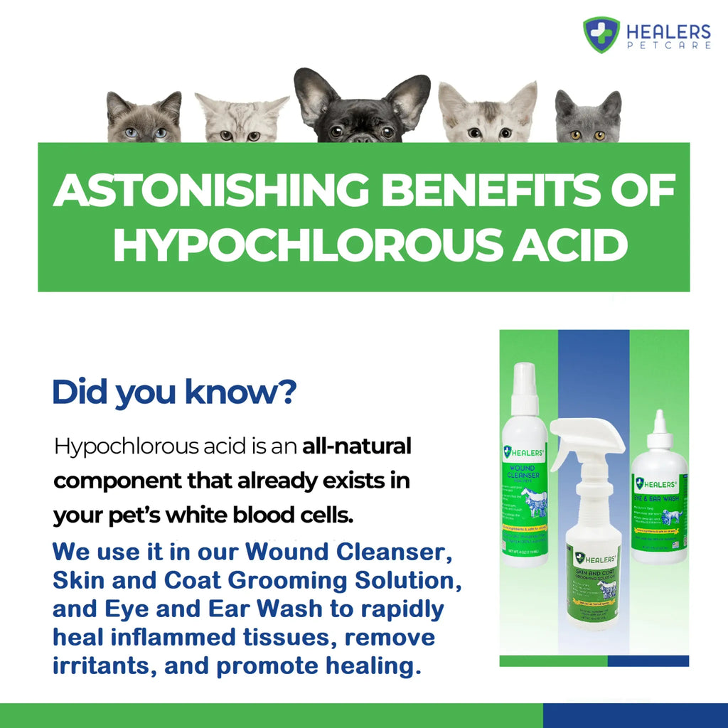 Healers Skin & Coat Grooming Solution | Natural HOCl Skin Detox & Relief Spray