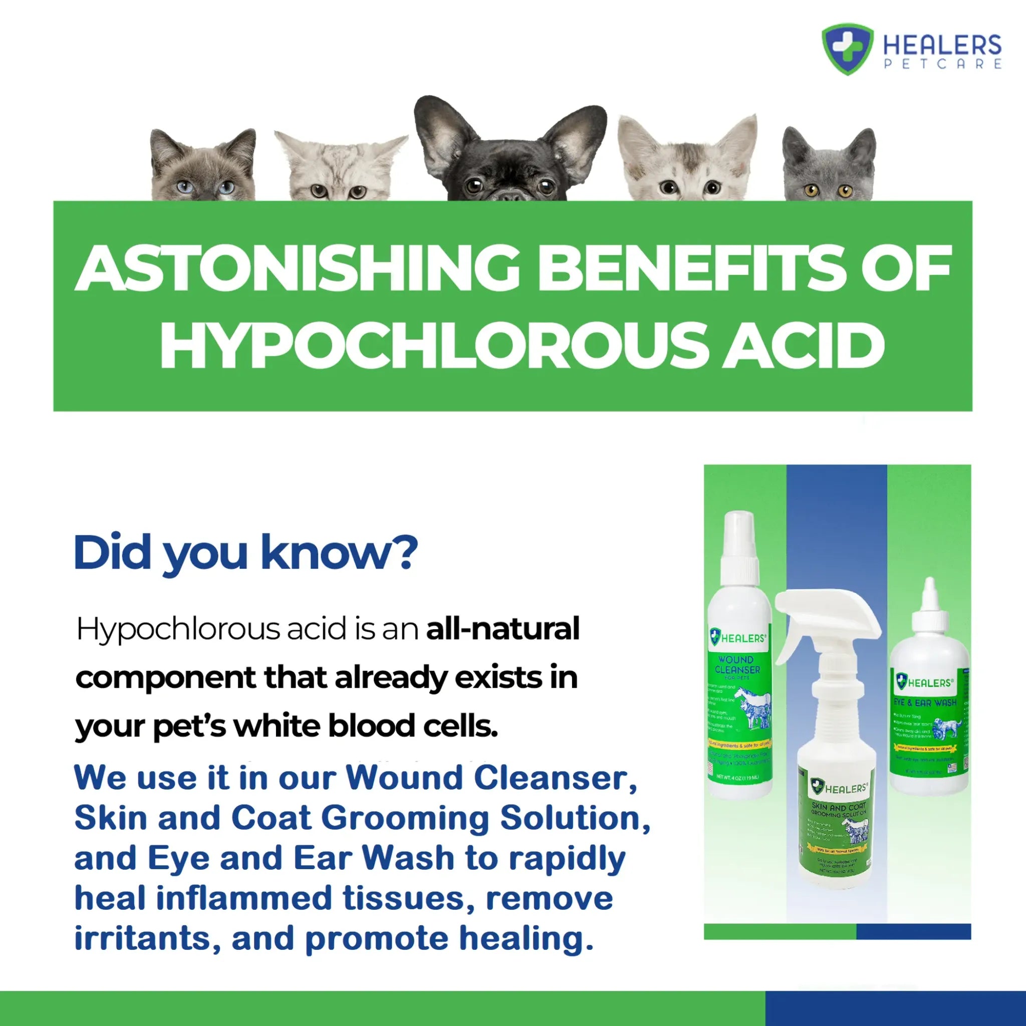 Healers Skin & Coat Grooming Solution | Natural HOCl Skin Detox & Relief Spray