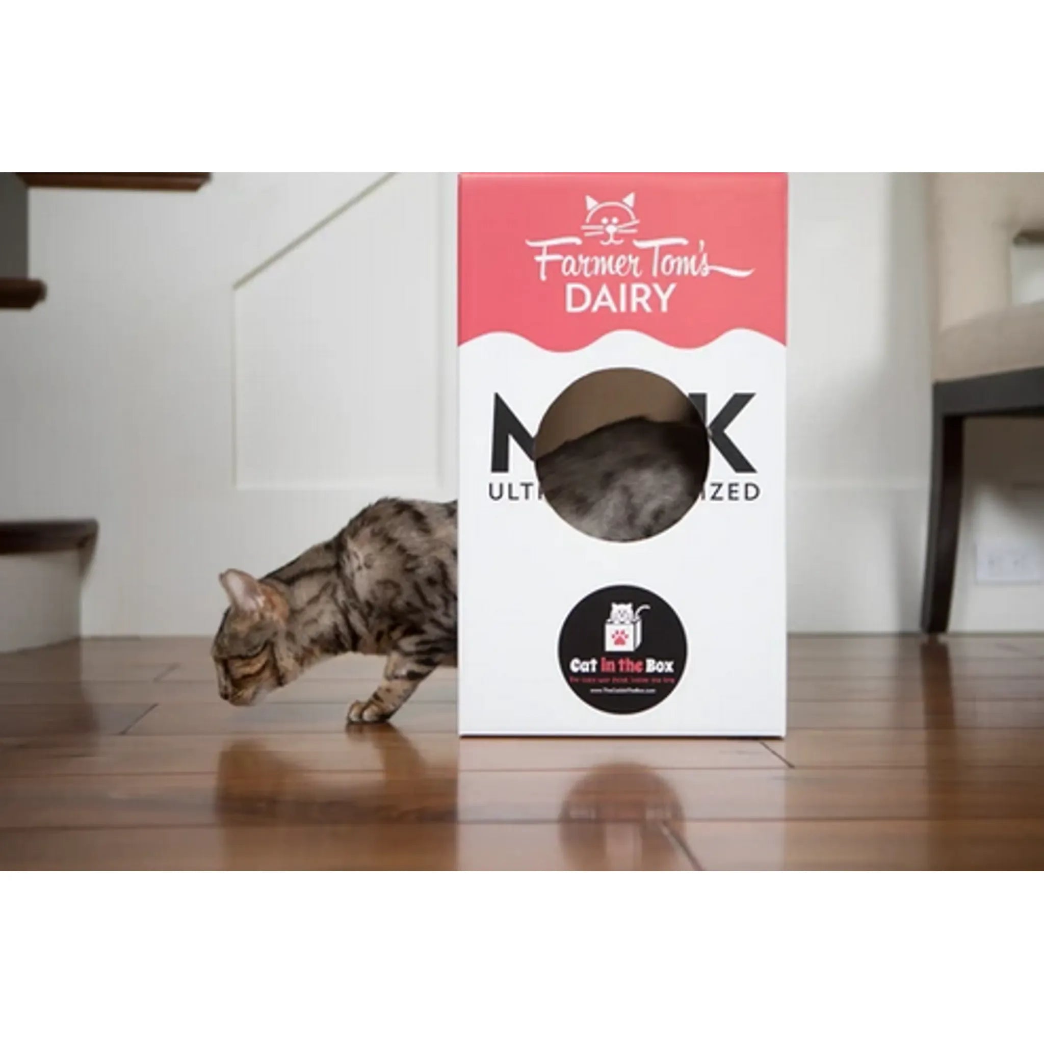 Milk Carton Cardboard Cat House | Eco‑Friendly Recycled Hideout