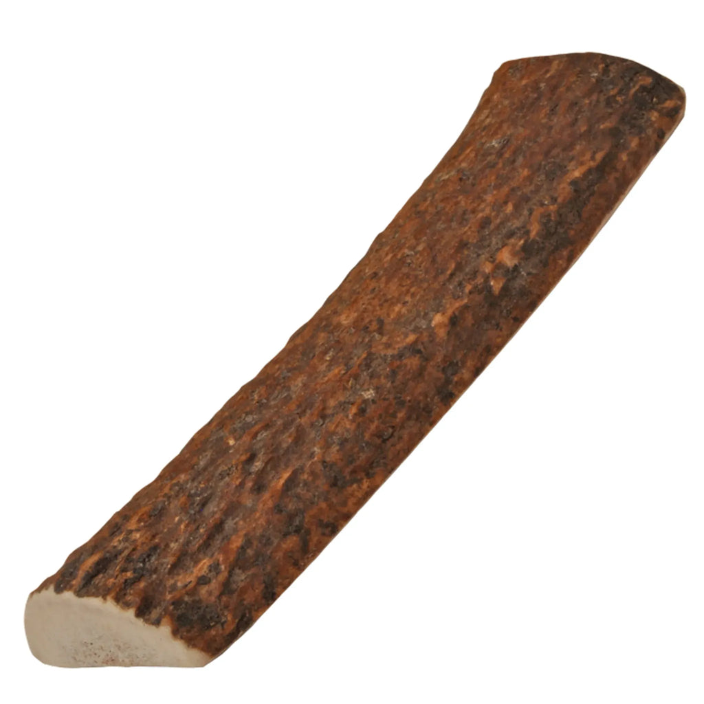 Natural Elk Antlers – Long‑Lasting, Premium Chews for Dogs | Health Extension