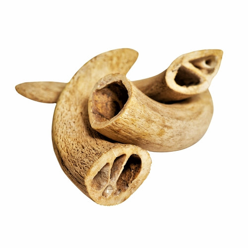 Water Buffalo Horn Core Chews – Crunchy Single‑Ingredient Treats (2 Count) | Rozie’s Naturals