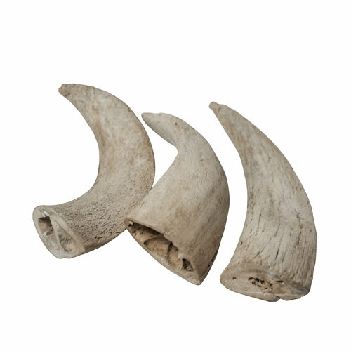 Water Buffalo Horn Core Chews – Crunchy Single‑Ingredient Treats (2 Count) | Rozie’s Naturals