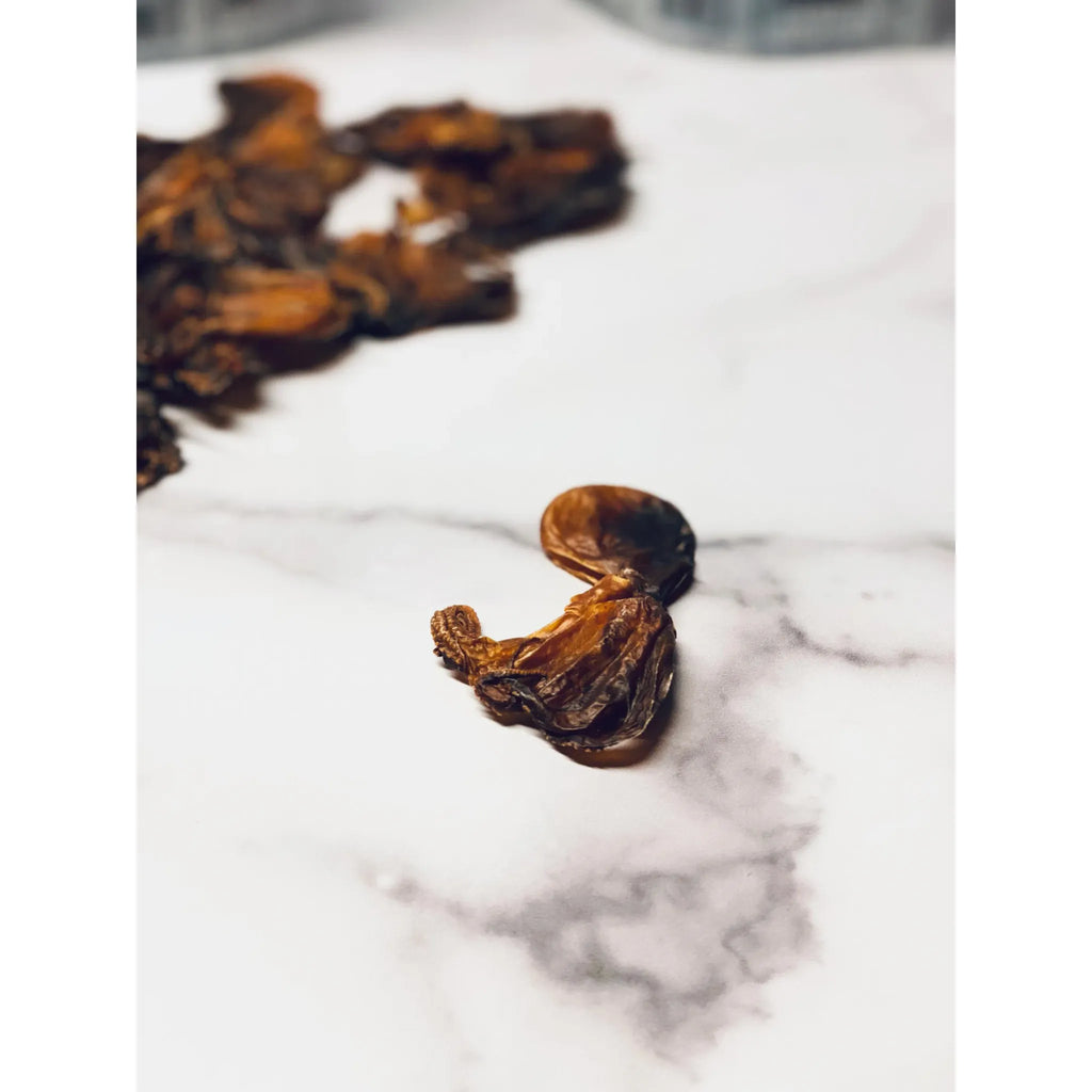 Wild‑Caught Octopus Whole‑Muscle Jerky | Single‑Ingredient Dog Treat | Mosaic